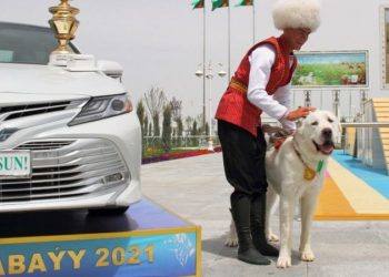 Türkmenistan’da Yerli Çoban Köpeği Türü Alabaylar Onuruna Ulusal Tatil